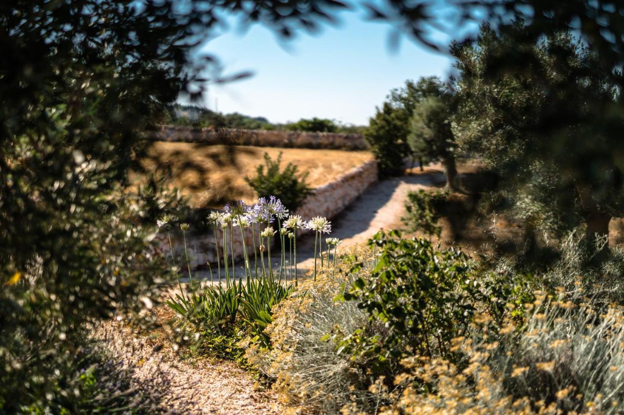 Trulli Ad Maiora Alberobello Exterior foto